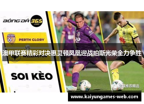 澳甲联赛精彩对决惠灵顿凤凰迎战珀斯光荣全力争胜