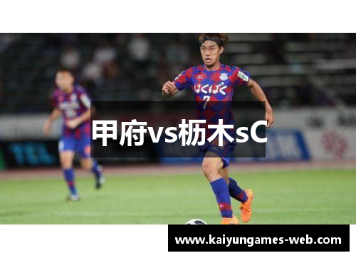 甲府vs枥木sC